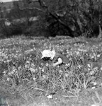 Children of Farndale